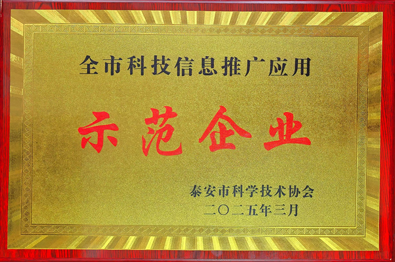 图片10